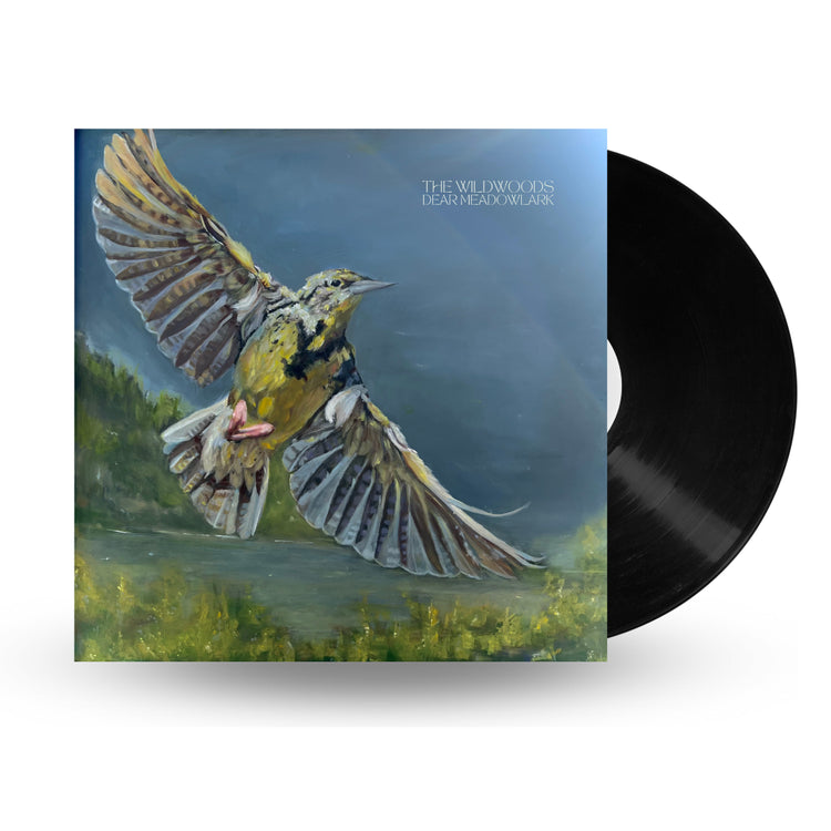 DEAR MEDOWLARK VINYL